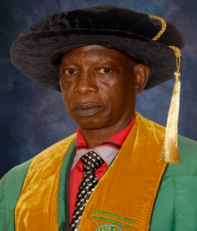 dr.olugbenga wale adewuyi