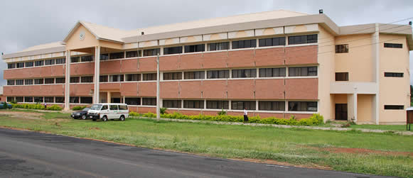 College Of Management And Social Sciences | Content