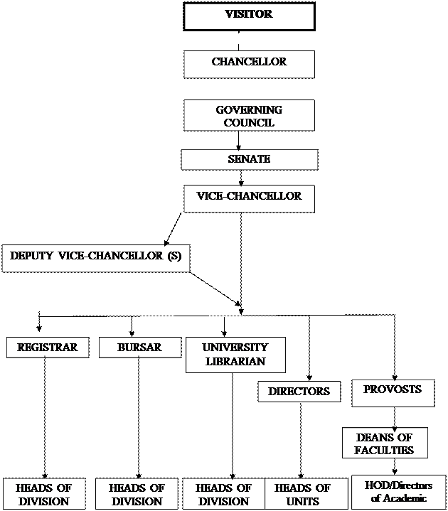 Senate Hierarchy Chart