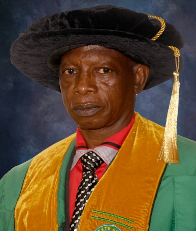 ADEWUYI OLUGBENGA WALE